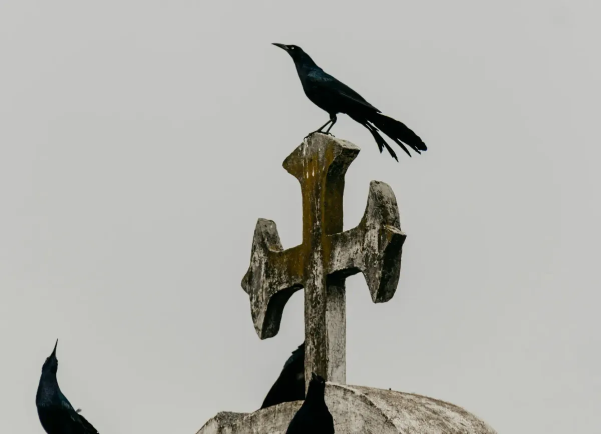 The Arrival of the Black Death in Europe: A Historical Overview