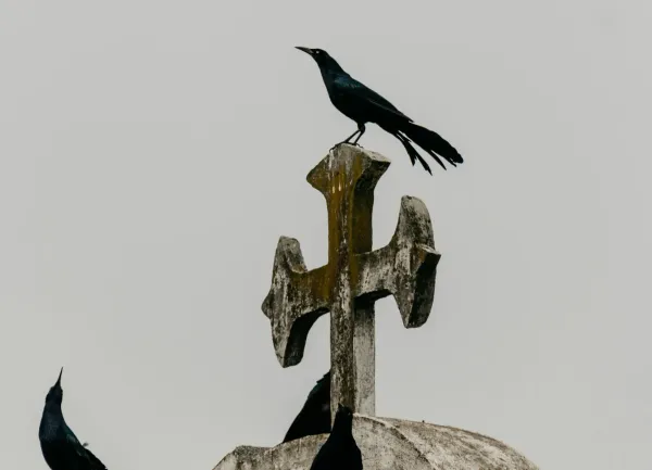 The Arrival of the Black Death in Europe: A Historical Overview